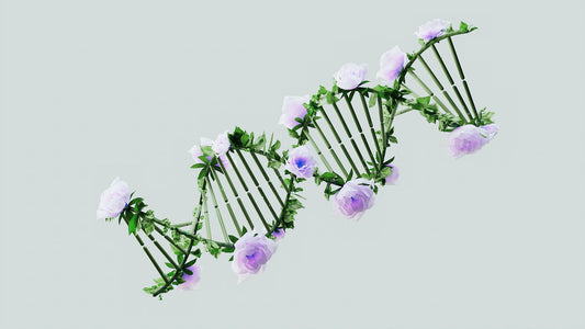 Artistic DNA double helix made of green stems and purple flowers, symbolising nature and science working together.