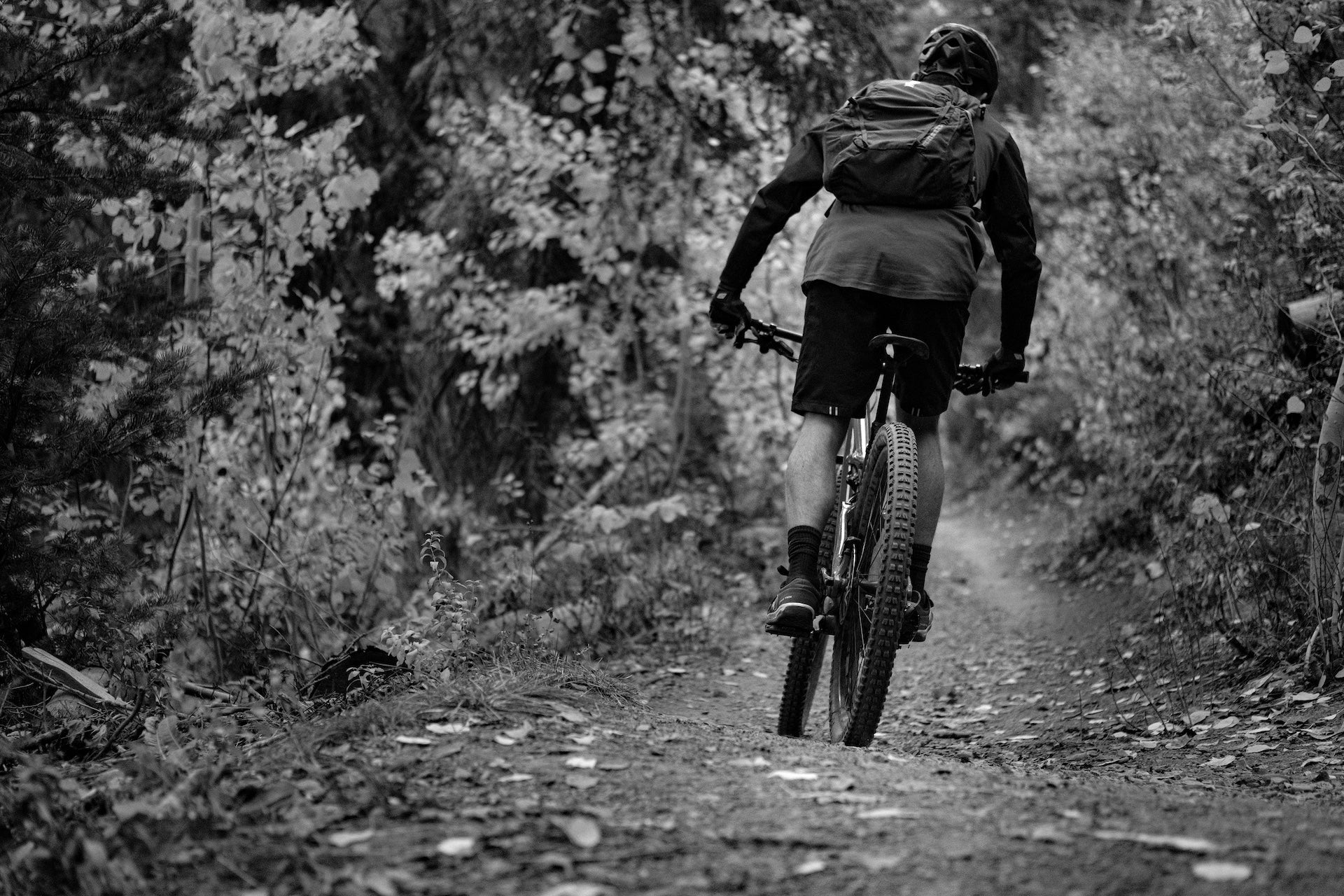 A person on their mountain bike rides away from the camera. They are surrounded by trees, going along a dirt track. The photo is black and white.