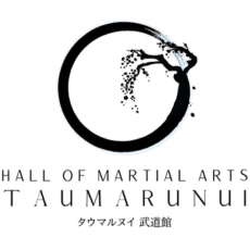 Hall of Martial Arts